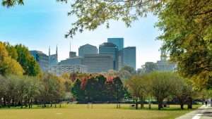 A park with city buildings in the background.