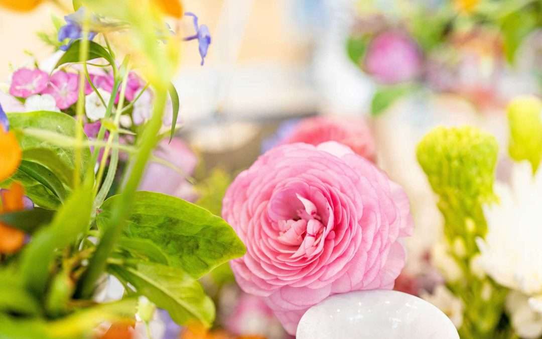 Spring Activities that Will Bring You Joy! 
