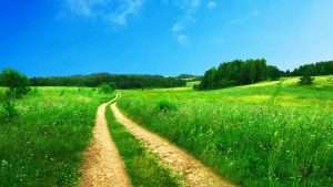 A dirt road in between a grass field with blue skies in the background.